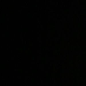 Meet your Posher, Shea